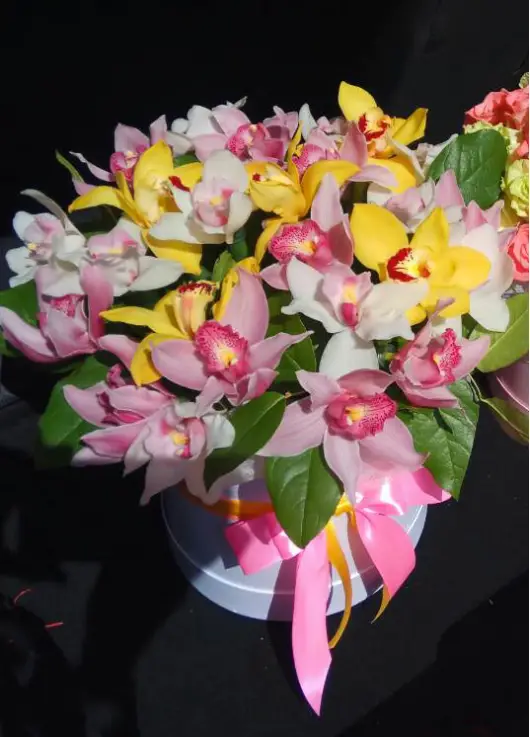 Orchids mix in a hat box Orchids mix in a hat box