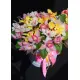 Orchids mix in a hat box Orchids mix in a hat box