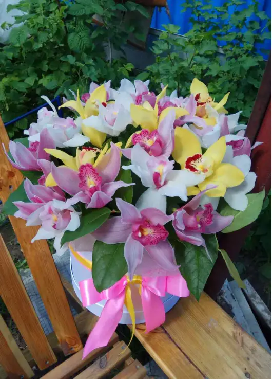 Orchids mix in a hat box Orchids mix in a hat box