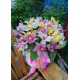 Orchids mix in a hat box Orchids mix in a hat box