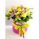 Orchids mix in a hat box Orchids mix in a hat box