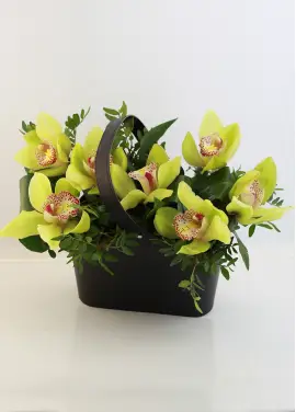 Orchids in a hat box