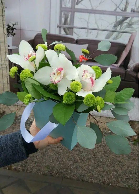 Orchids in a hat box Orchids in a hat box