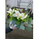 Orchids in a hat box Orchids in a hat box