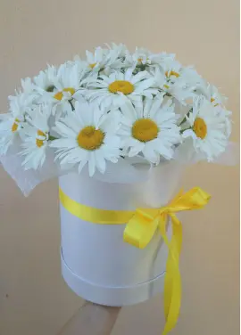Bouquet of camomiles