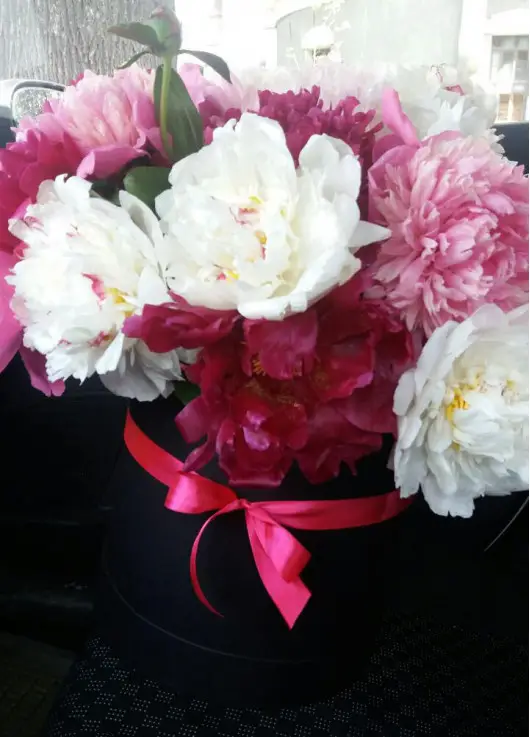 Hat box of peonies Dnipro Hat box of peonies Dnipro