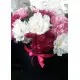 Hat box of peonies Dnipro Hat box of peonies Dnipro