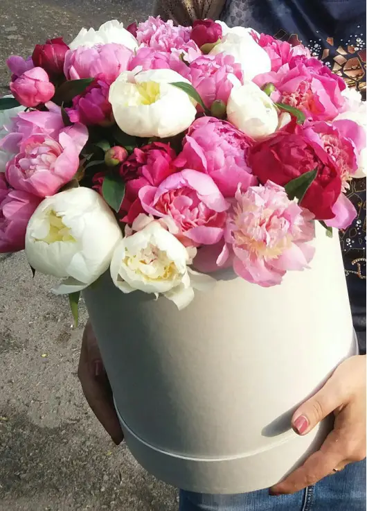 Hat box of peonies Dnipro Hat box of peonies Dnipro