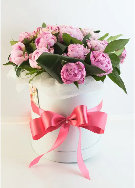 Hat box of peonies Dnipro Hat box of peonies Dnipro