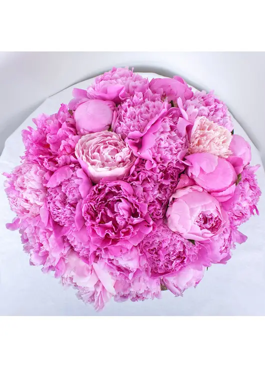 Hat box of peonies Dnipro Hat box of peonies Dnipro