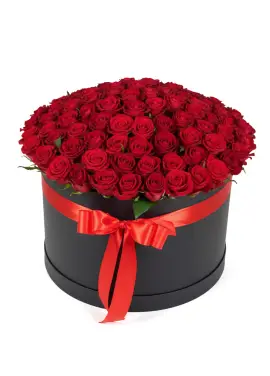 101 red roses in a box