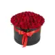 101 red roses in a box
