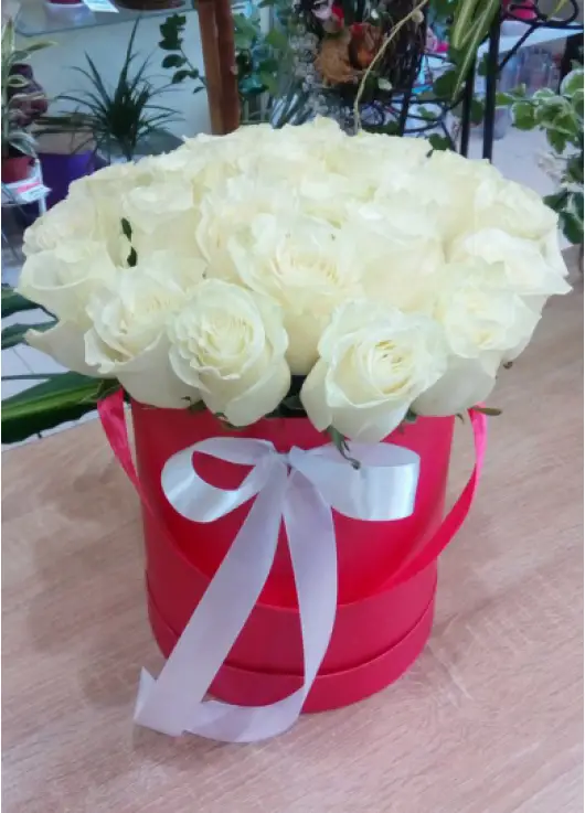 Ice Queen 19 roses