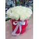 Ice Queen 19 roses
