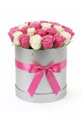 25 white and pink roses in a box