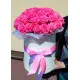 35 pink roses in a box