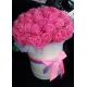 35 pink roses in a box