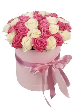 35 white and pink roses in a box