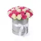 35 white and pink roses in a box