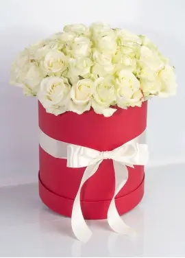 35 white roses in a box