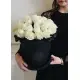 Ice Queen 19 roses