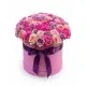 Premium box of 51 soft-tone roses