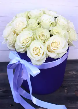 Ice Queen 19 roses