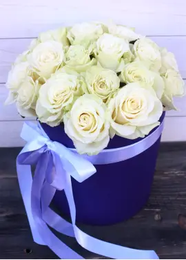 Ice Queen 19 roses