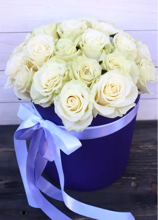 Ice Queen 19 roses