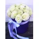 Ice Queen 19 roses