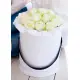 Ice Queen 19 roses