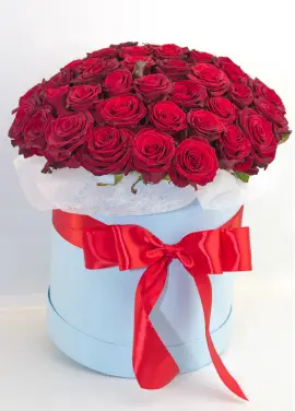 51 roses in a hatbox
