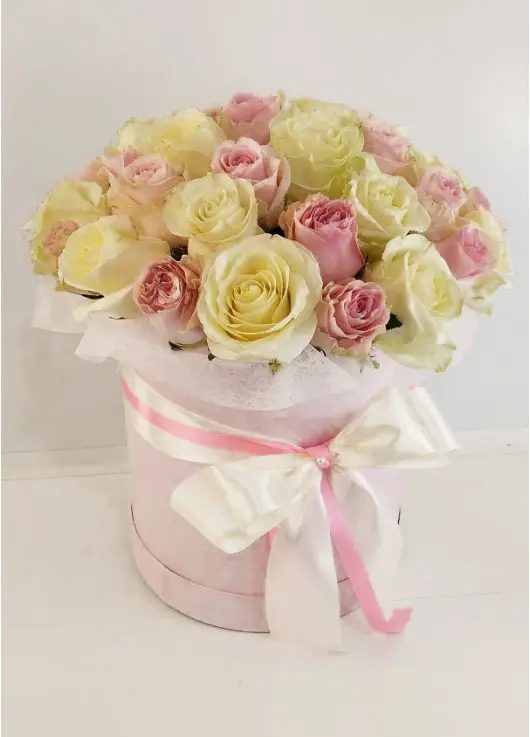 Memory lane rose Memory lane rose