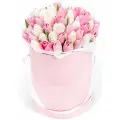 with tulips