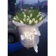 White tulips in a hat box White tulips in a hat box