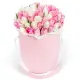 51 tender tulips in a box (imported, Netherlands)