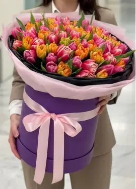 101 mixed tulips in a box (imported, Netherlands)
