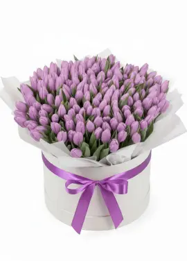 151 purple tulips in a box (imported, Netherlands)
