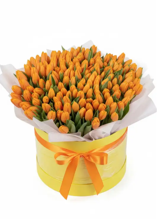 151 orange tulips in a box (imported, Netherlands)