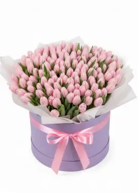 151 pink tulips in a box (imported, Netherlands)