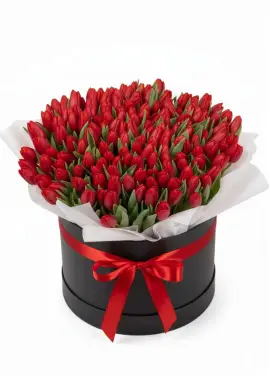 151 red tulips in a box (import, Holland)
