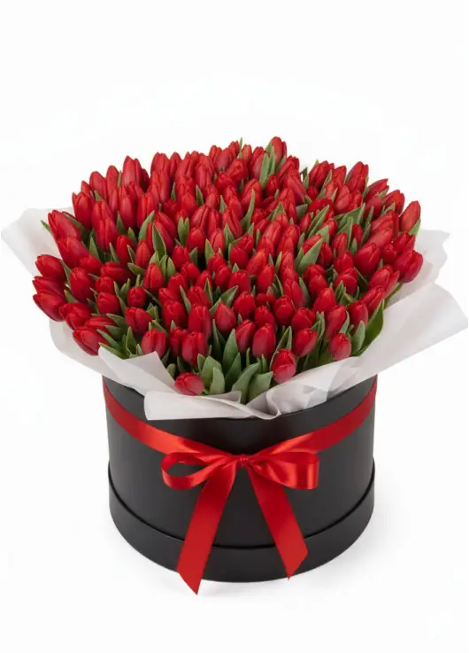 151 red tulips in a box (import, Holland)