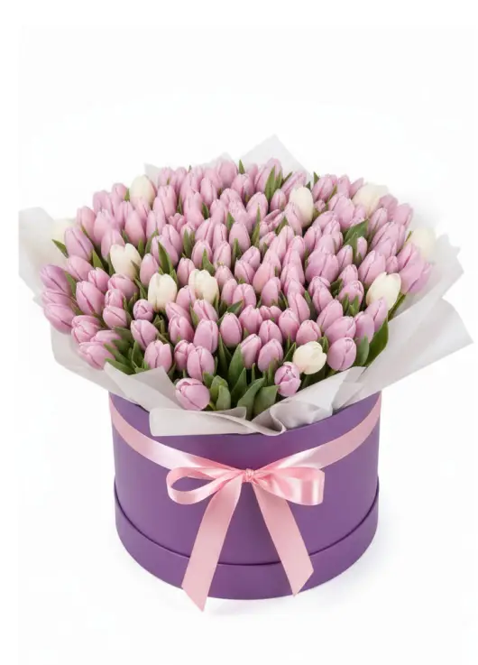 151 tender tulips in a box (imported, Netherlands)
