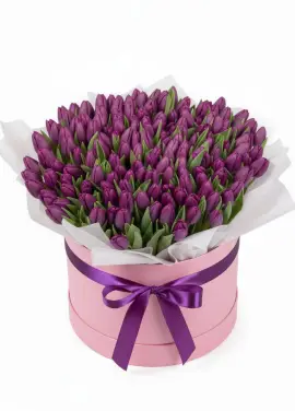 151 lilac tulips in a box (imported, Netherlands)