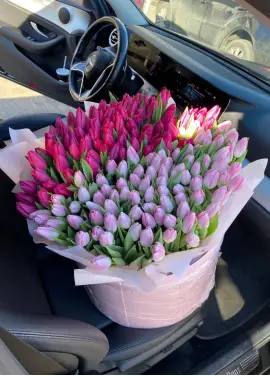 151 tulips in a box