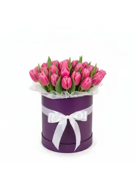 25 raspberry tulips in a box (imported, Netherlands)
