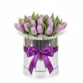 Lilac tulips in a box