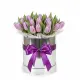 25 lilac tulips in a box (imported, Netherlands)