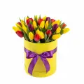 Mixed tulips in a box
