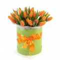 Orange tulips in a box